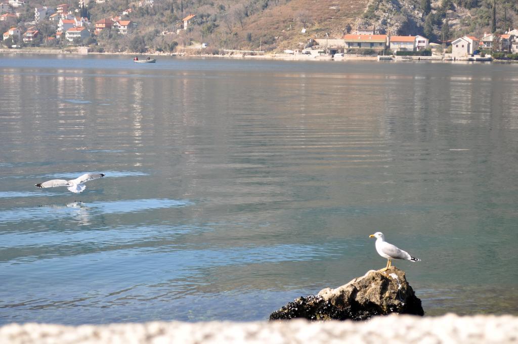 Apartments Vucinovic Tivat Exterior photo