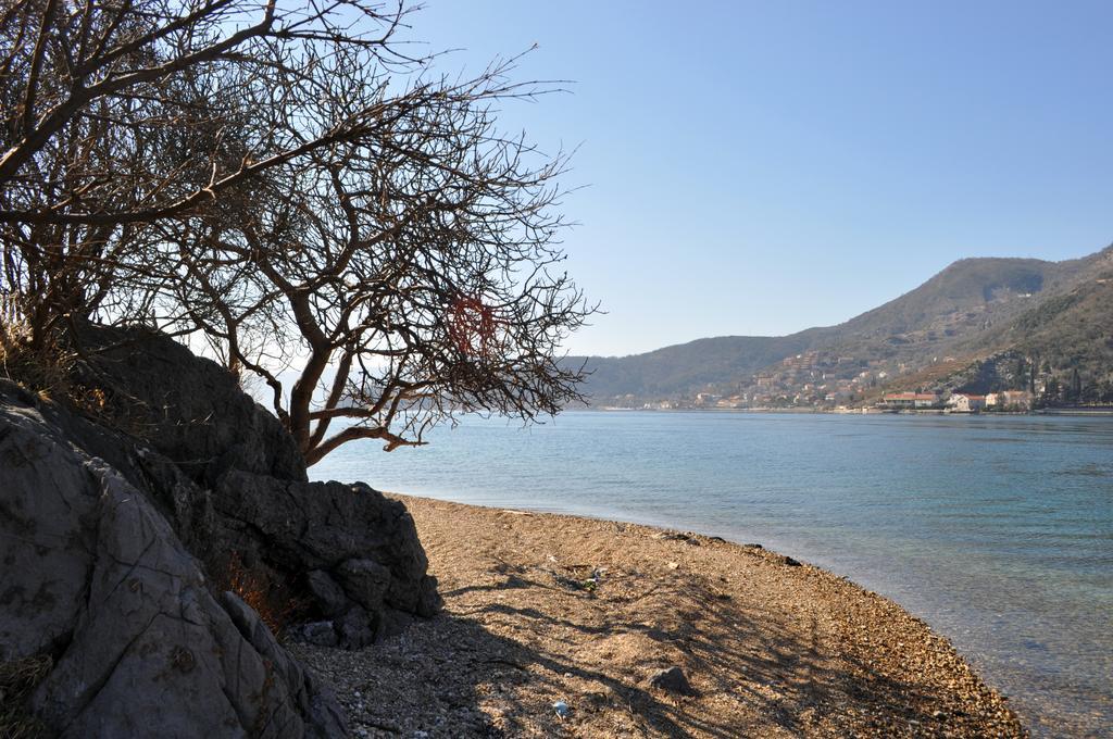 Apartments Vucinovic Tivat Exterior photo